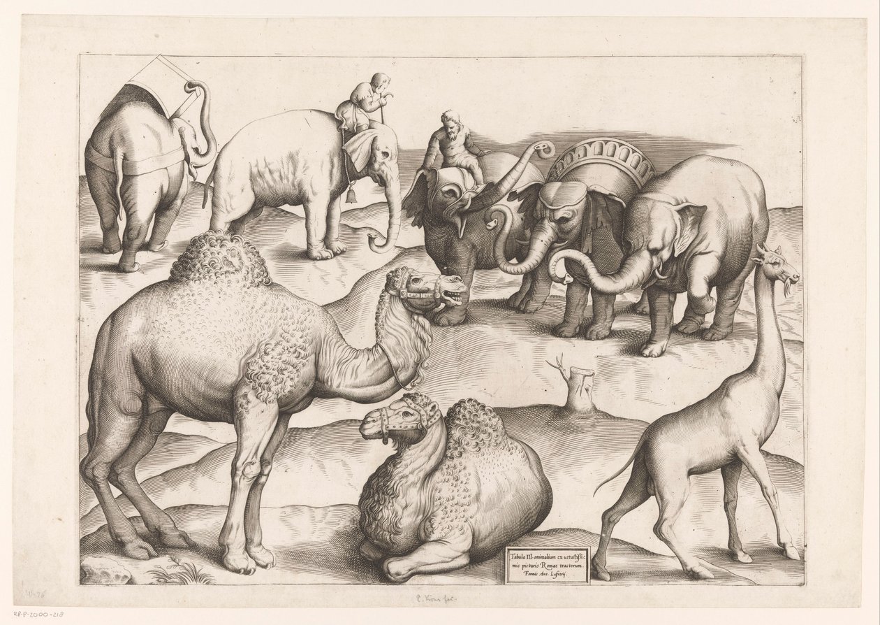 Eight Animals by Enea Vico (attributed to)