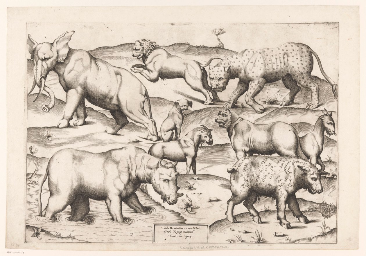 Nine Animals by Enea Vico (attributed to)
