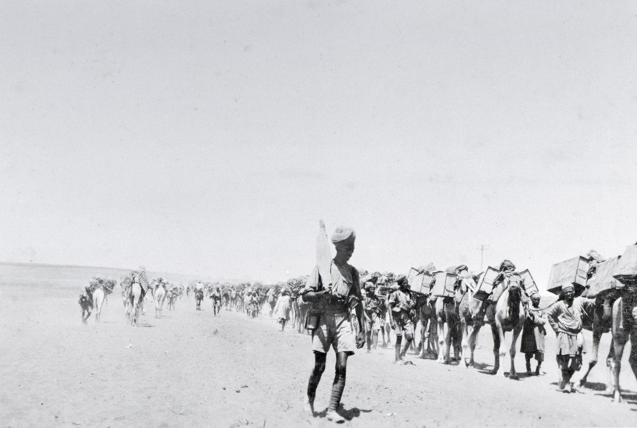 A camel supply train in Mesopotamia during World War One, from an album compiled by Lt. Kindom by English Photographer