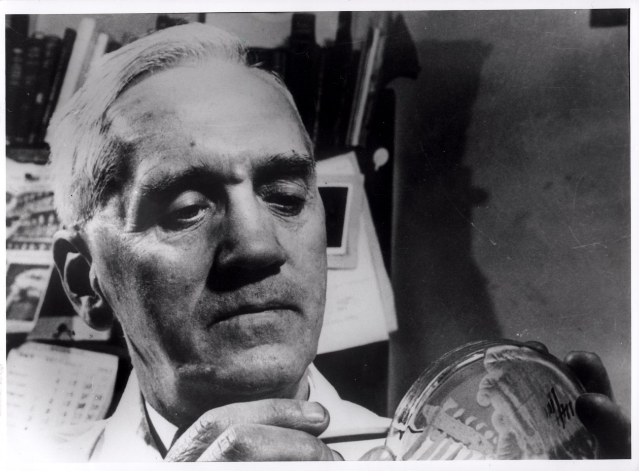 Alexander Fleming (1881-1955) c.1945 by English Photographer
