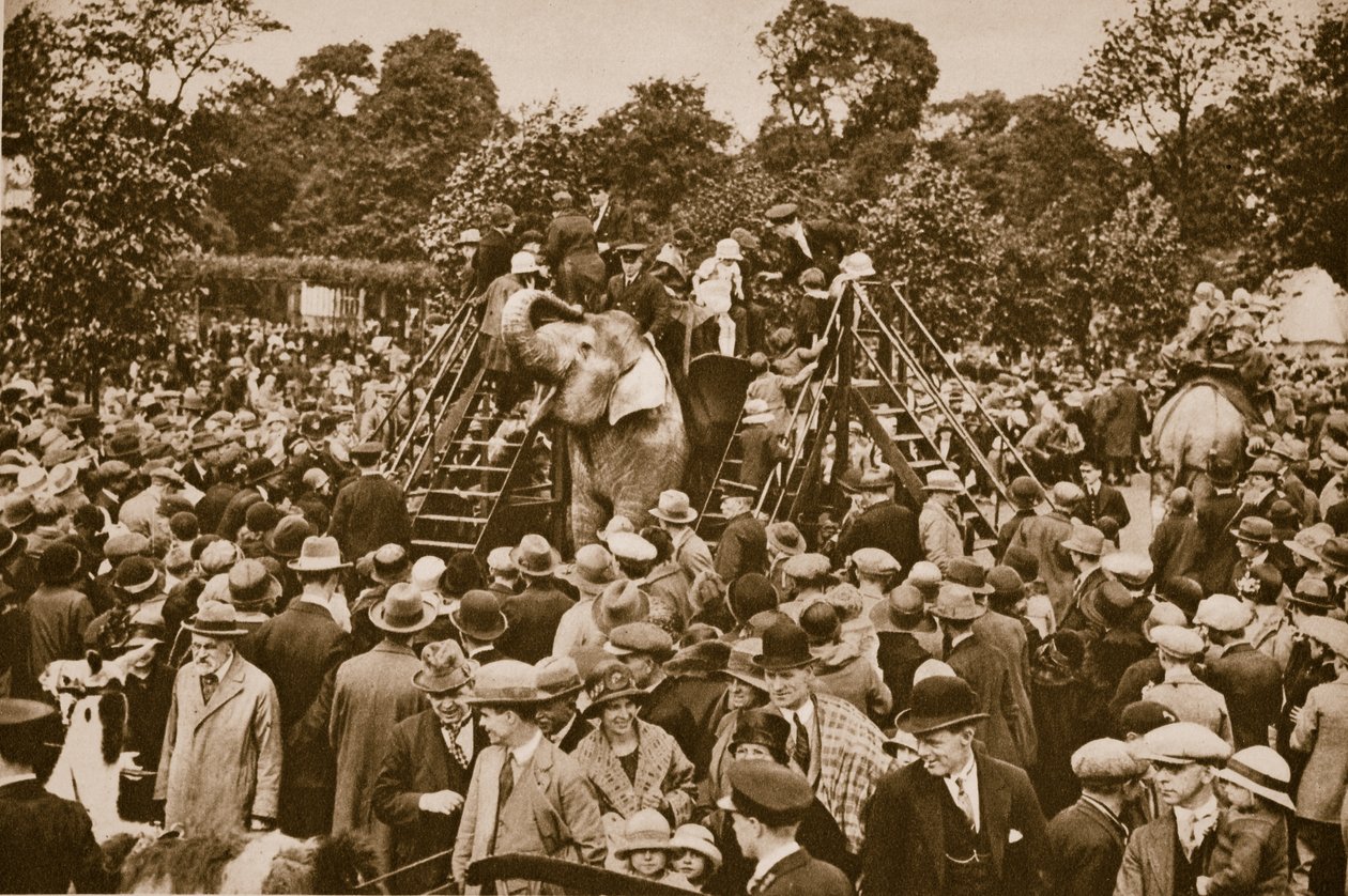 Animal rides at London Zoo by English Photographer