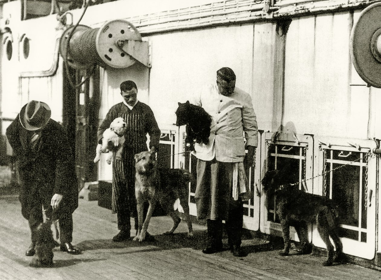 Dogs being looked after by members of the crew of the Titanic, 1912 by English Photographer