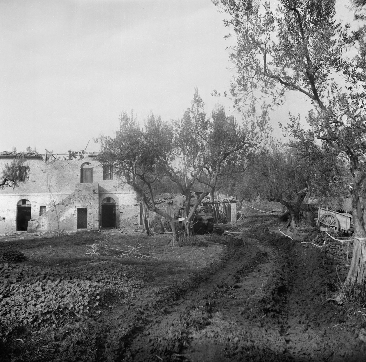 Entrance to the lane through a minefield leading up to Licolle Ridge, c.1944 by English Photographer