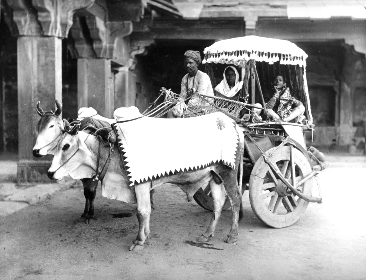 Ox-Drawn Cart, India, c.1907 by English Photographer