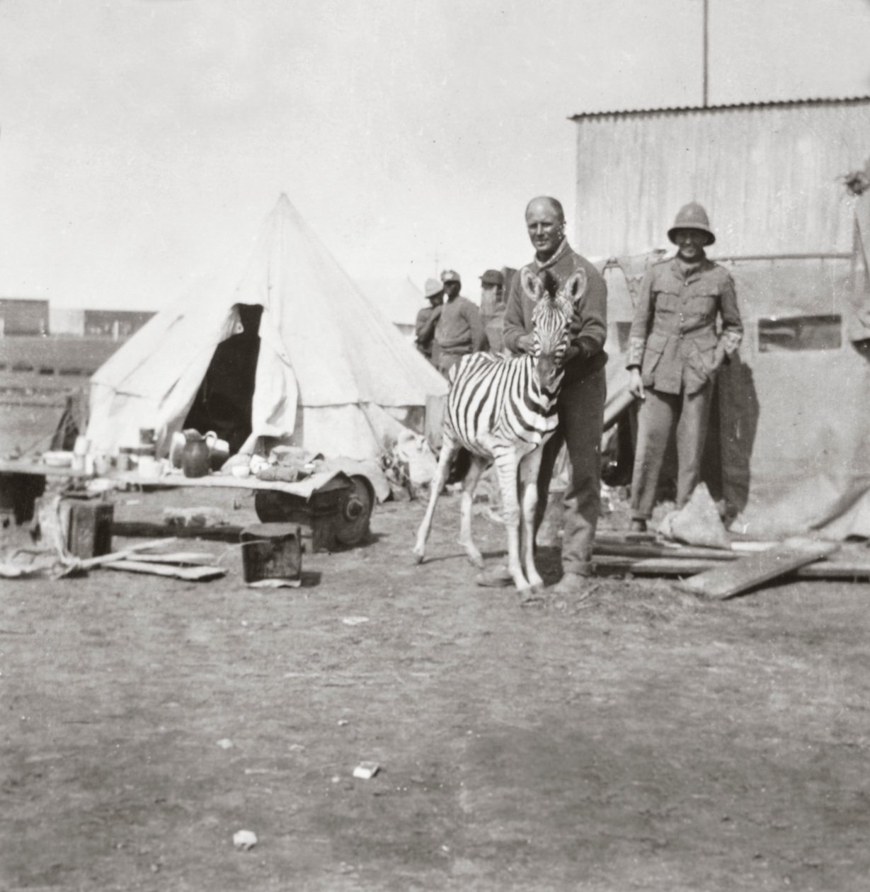 South African Gunners with Their Pet Zebra in East Africa by English Photographer