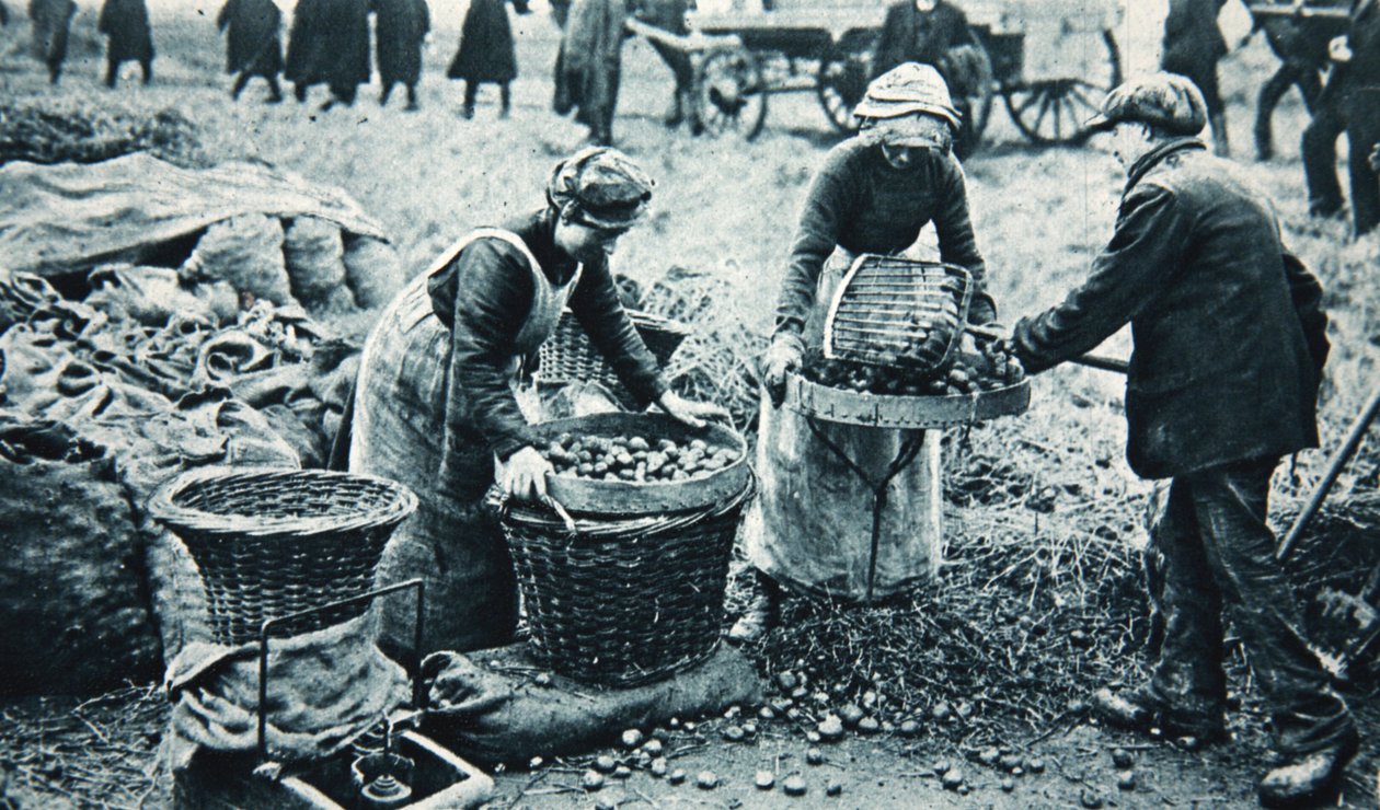 Women War-workers on the land, illustration from 
