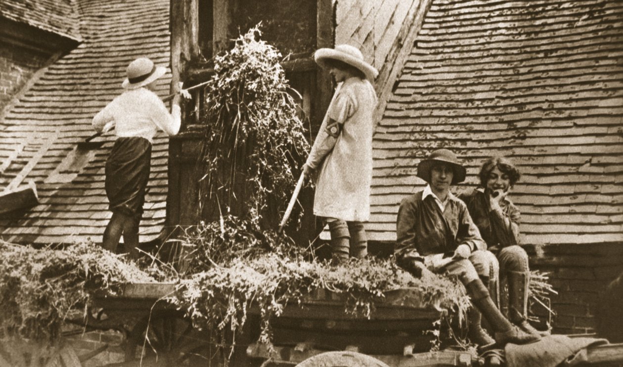 Women on the land: some interesting scenes at Evesham by English Photographer