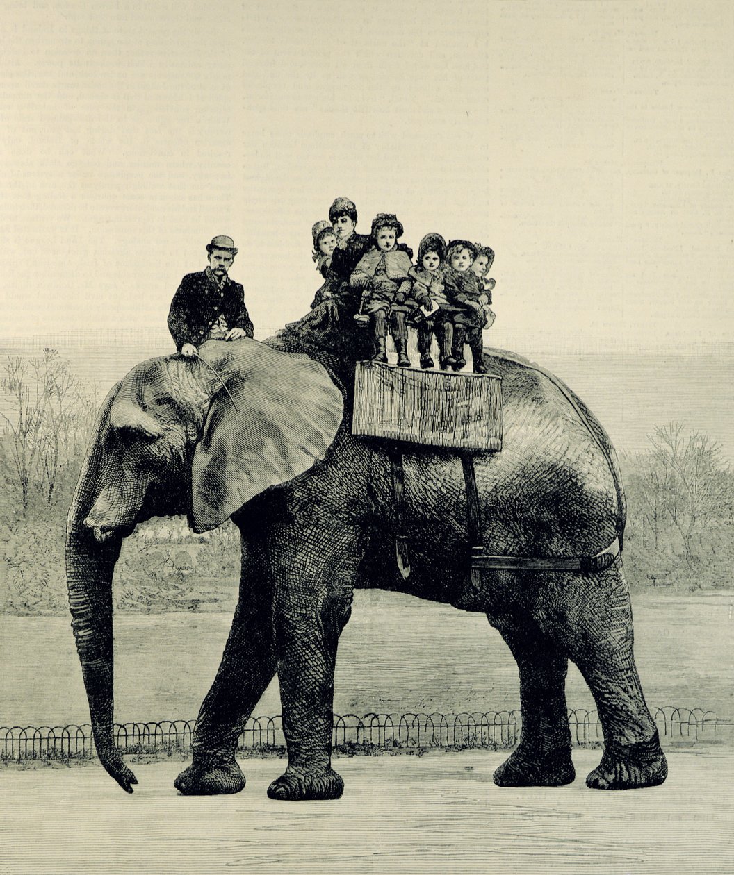 A Farewell Ride on Jumbo, from 
