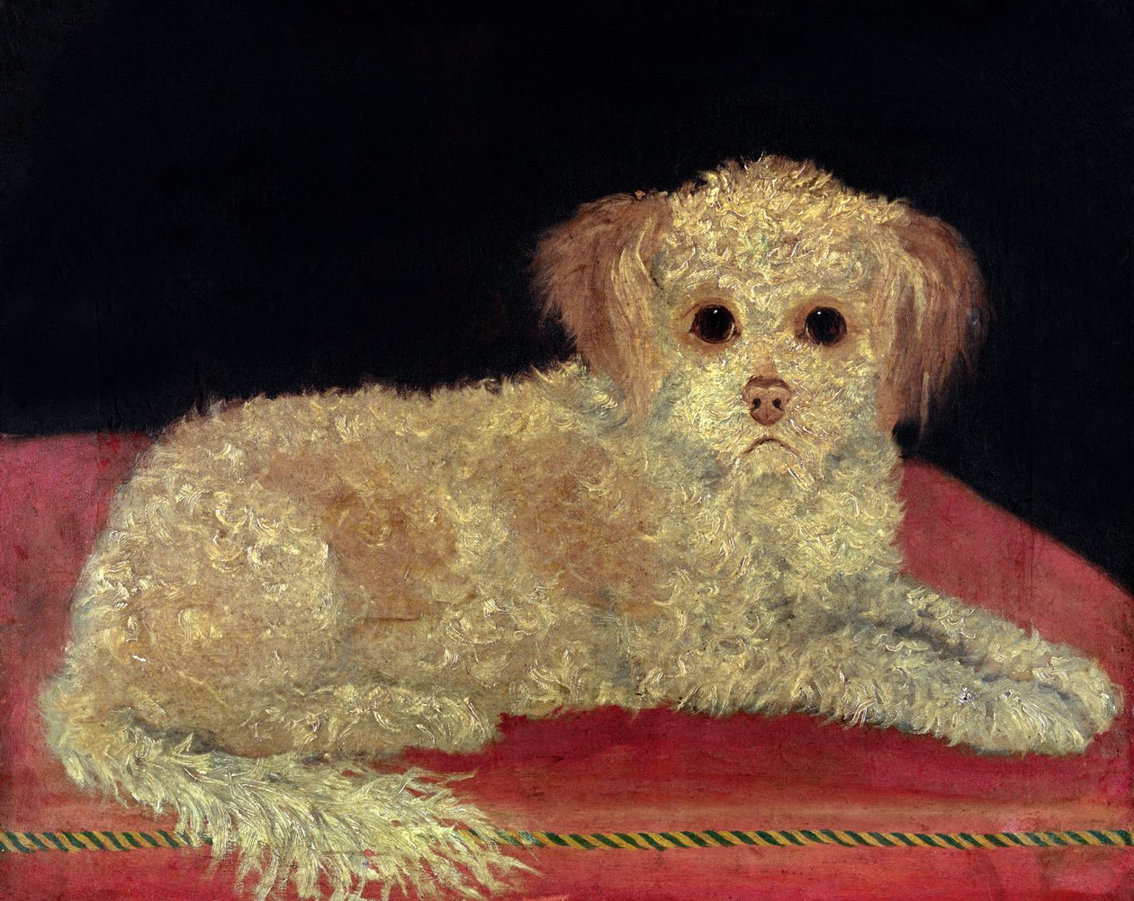 A Terrier on a Red Cushion, Provincial School by English School