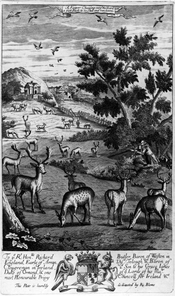 A Keeper Choosing Out of the Herd a Fat Buck to be Shot and Run Down, from 