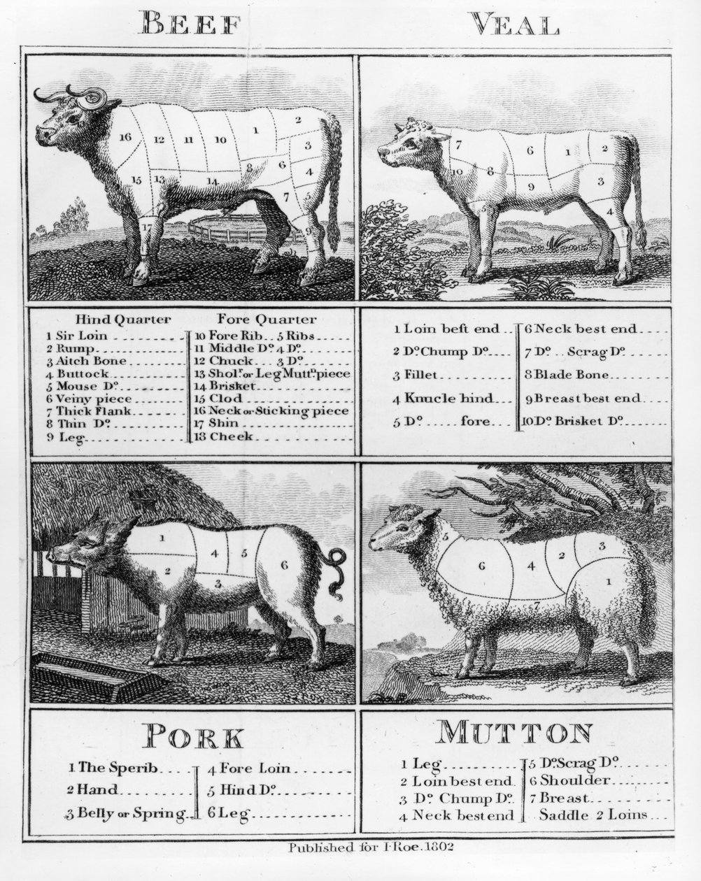 Beef, Veal, Pork, and Mutton Cuts, 1802 by English School