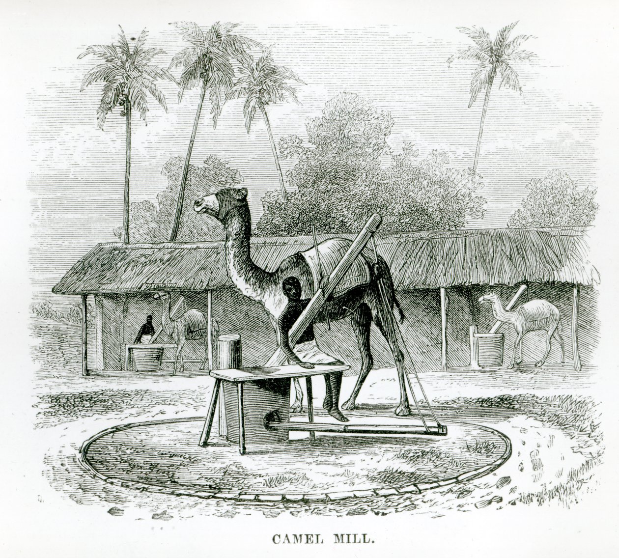 Camel Mill, from 