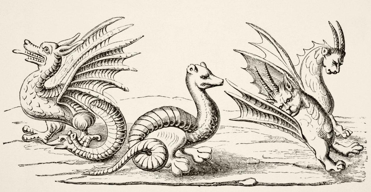 Dragons by English School