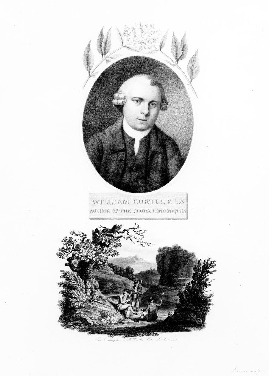 Frontispiece of 
