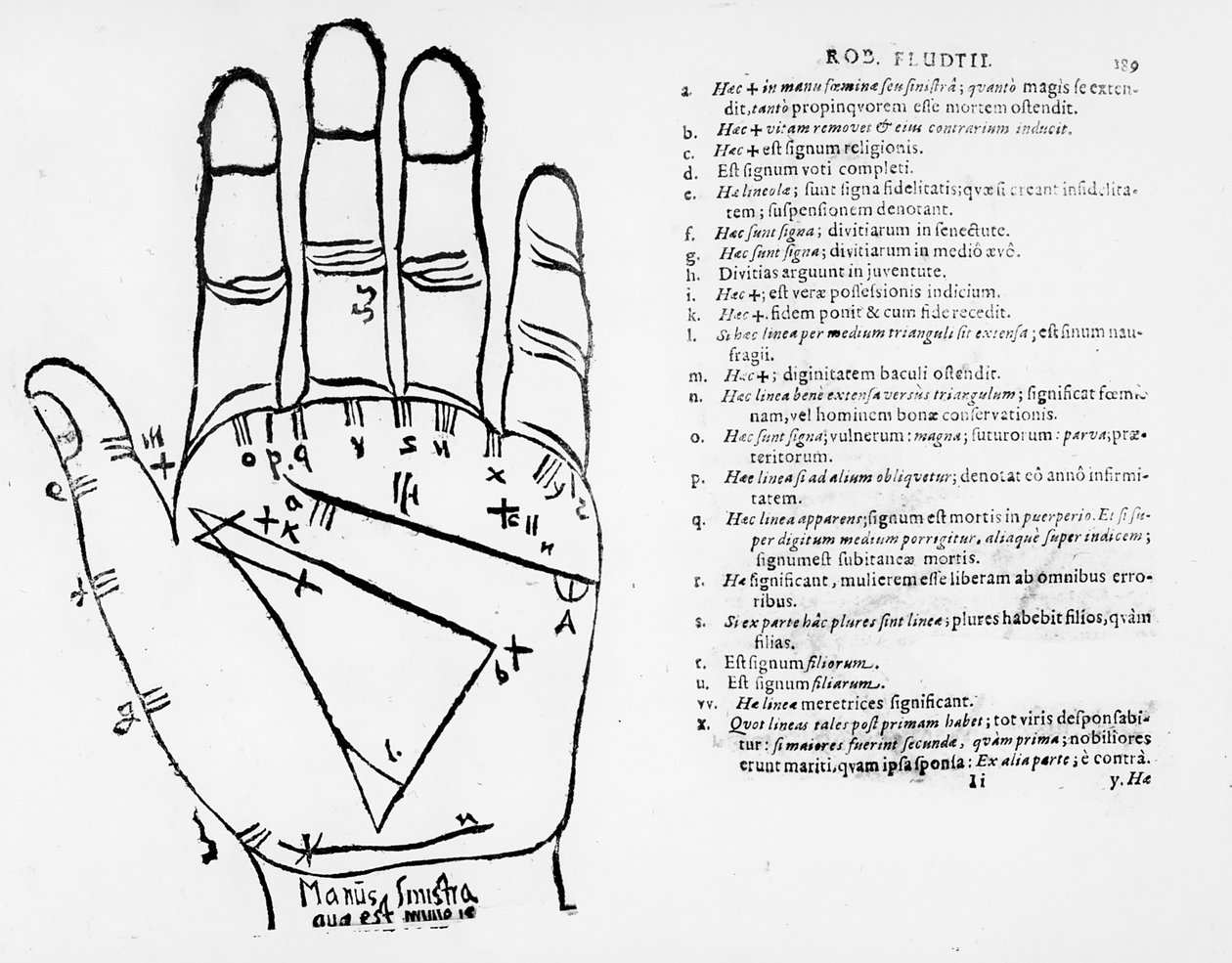 Palmistry by English School