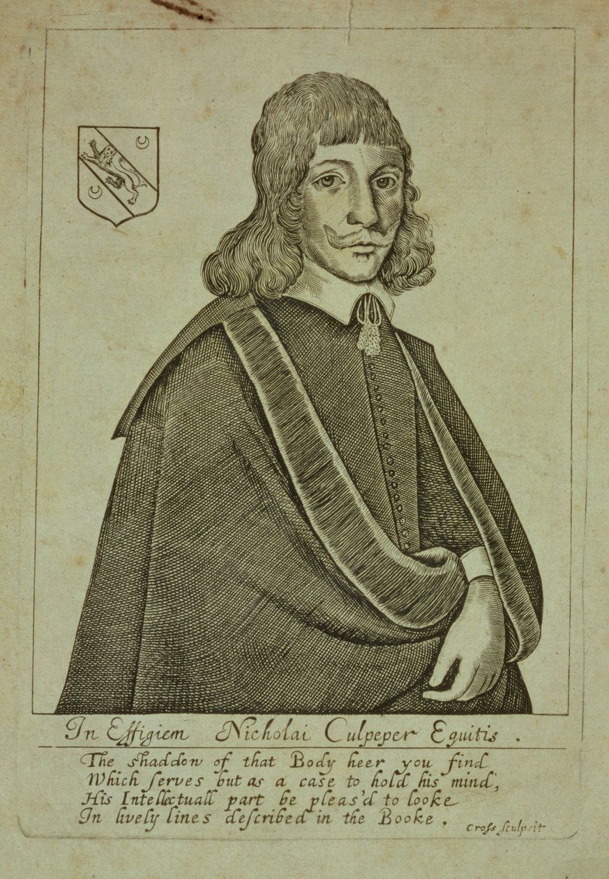 Portrait of Nicholas Culpeper from A Physical Directory, or a Translation of the London Dispensatory, engraved by Thomas Cross by English School