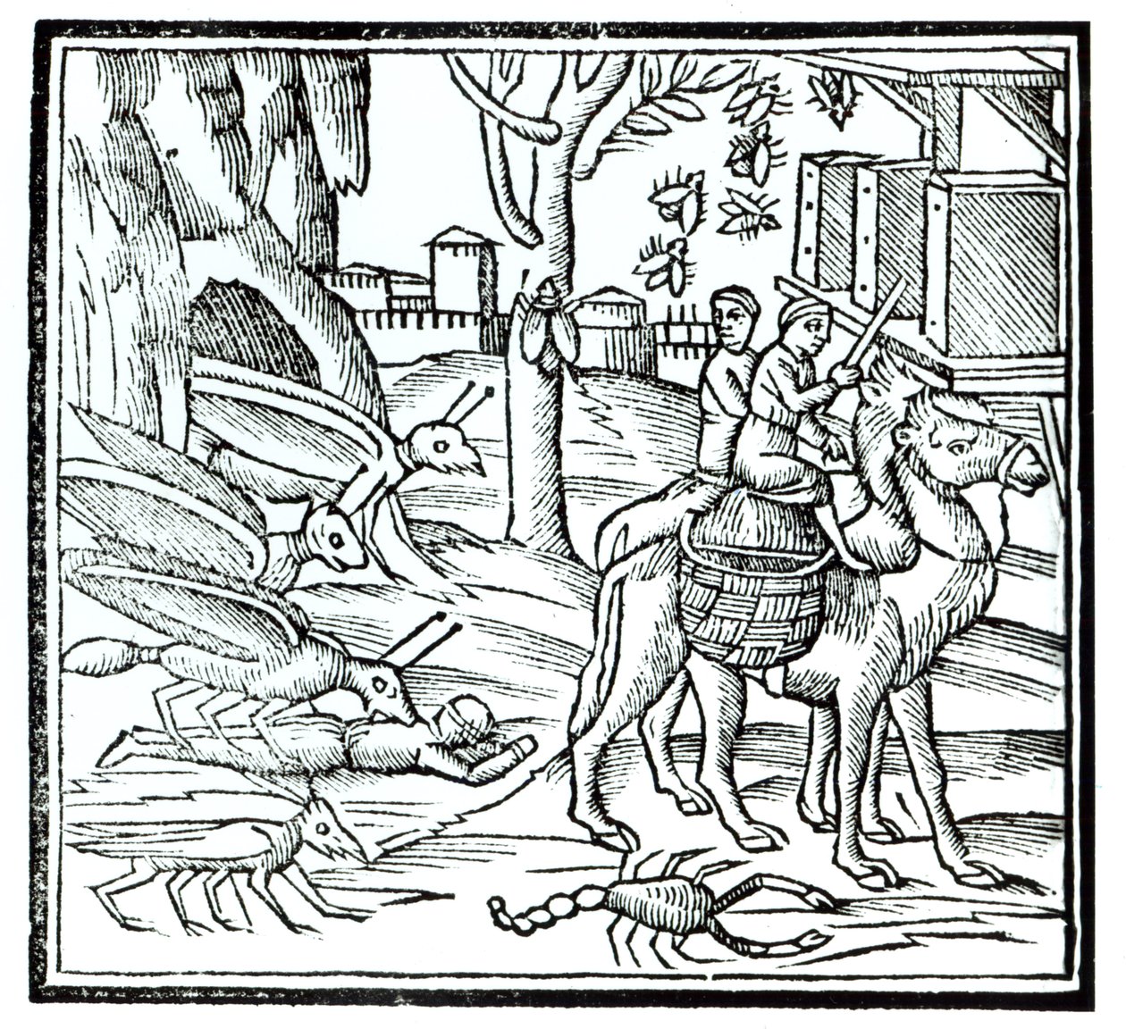 Representation of the Plague by English School