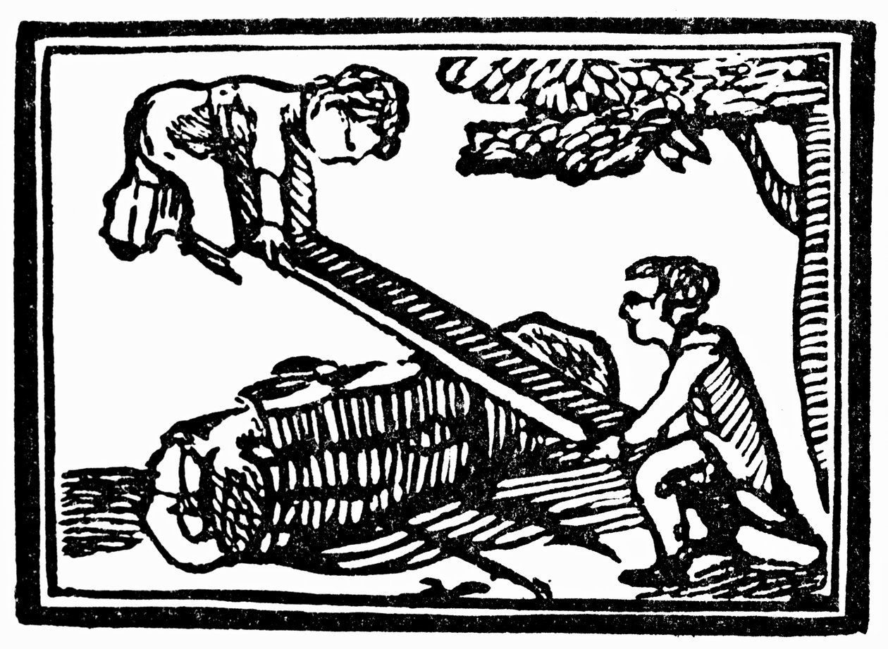 Seesaw by English School