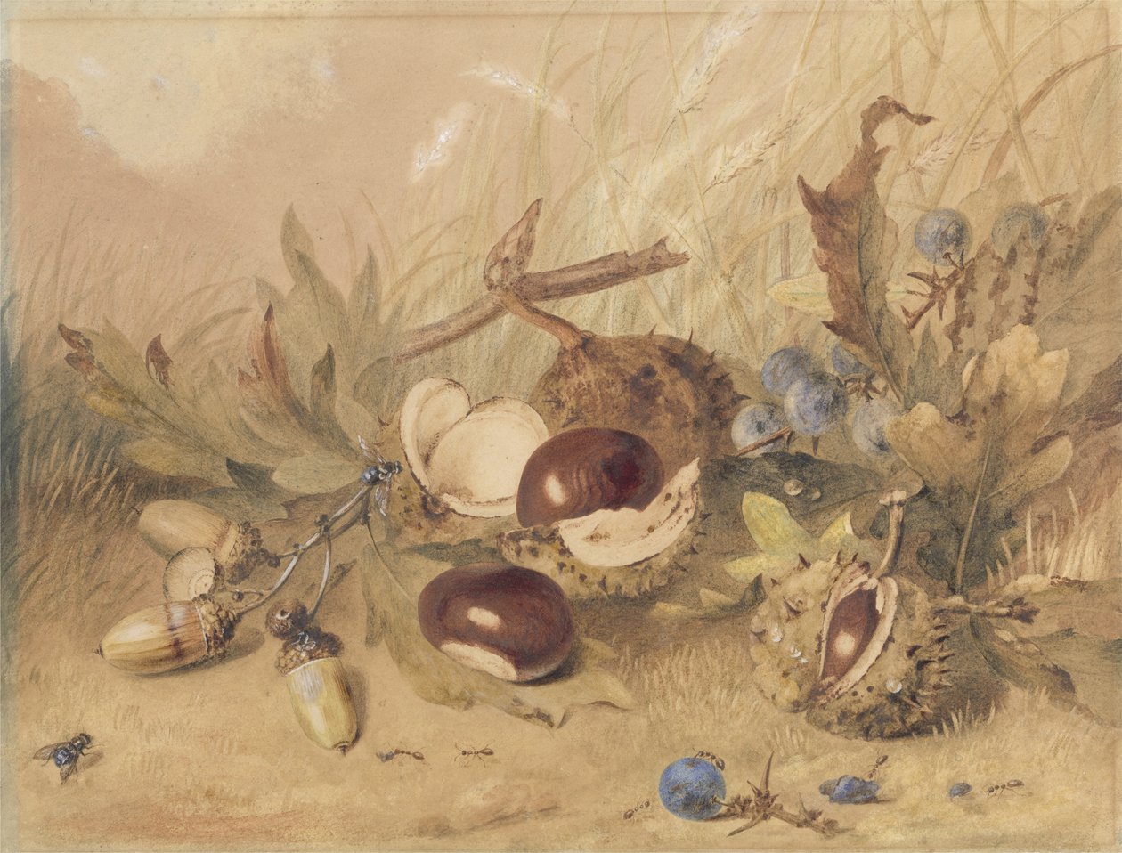 Still Life with Acorns and Horse Chestnuts by English School