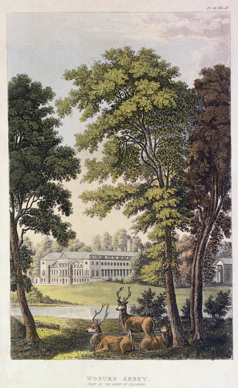 Woburn Abbey, from Ackermann