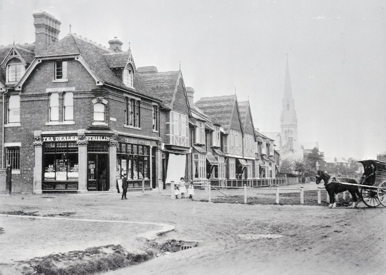 Corner of Chase Side and Chase Green Avenue, c.1890 (photo) by English Photographer