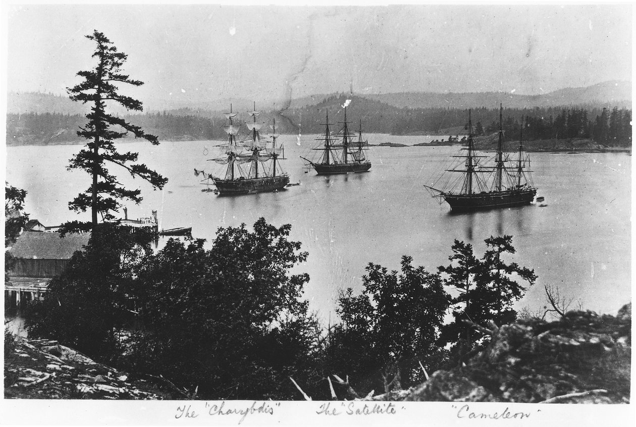 HMS Charybdis, HMS Satellite and HMS Cameleon at Esquimalt Royal Navy Dockyard, British Columbia, c.1880s by English Photographer