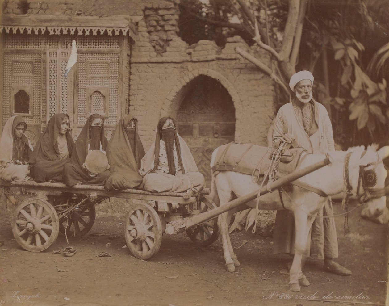 Horse-Drawn Cart, Cairo, 1893 by English Photographer