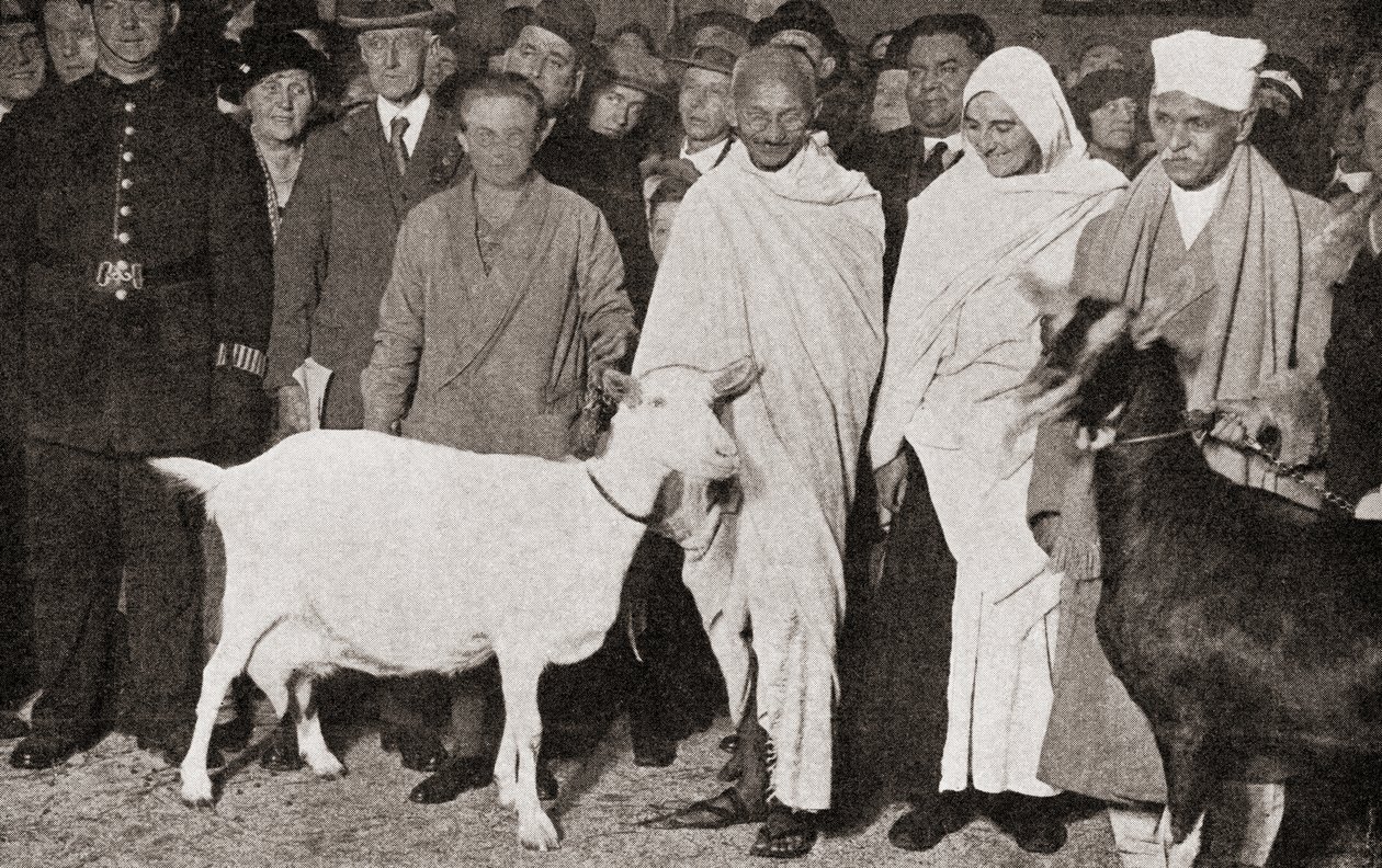 Mahatma Gandhi arrives in London, England in 1931 with his disciple, Madeleine Slade, and his two goats, from The Story of Twenty Five Years, published 1935 by English Photographer
