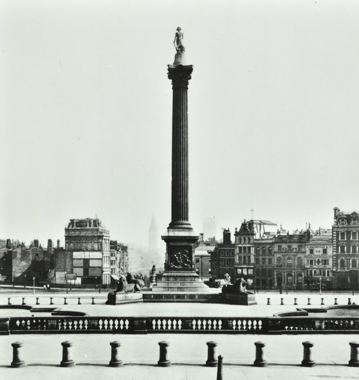 Nelson