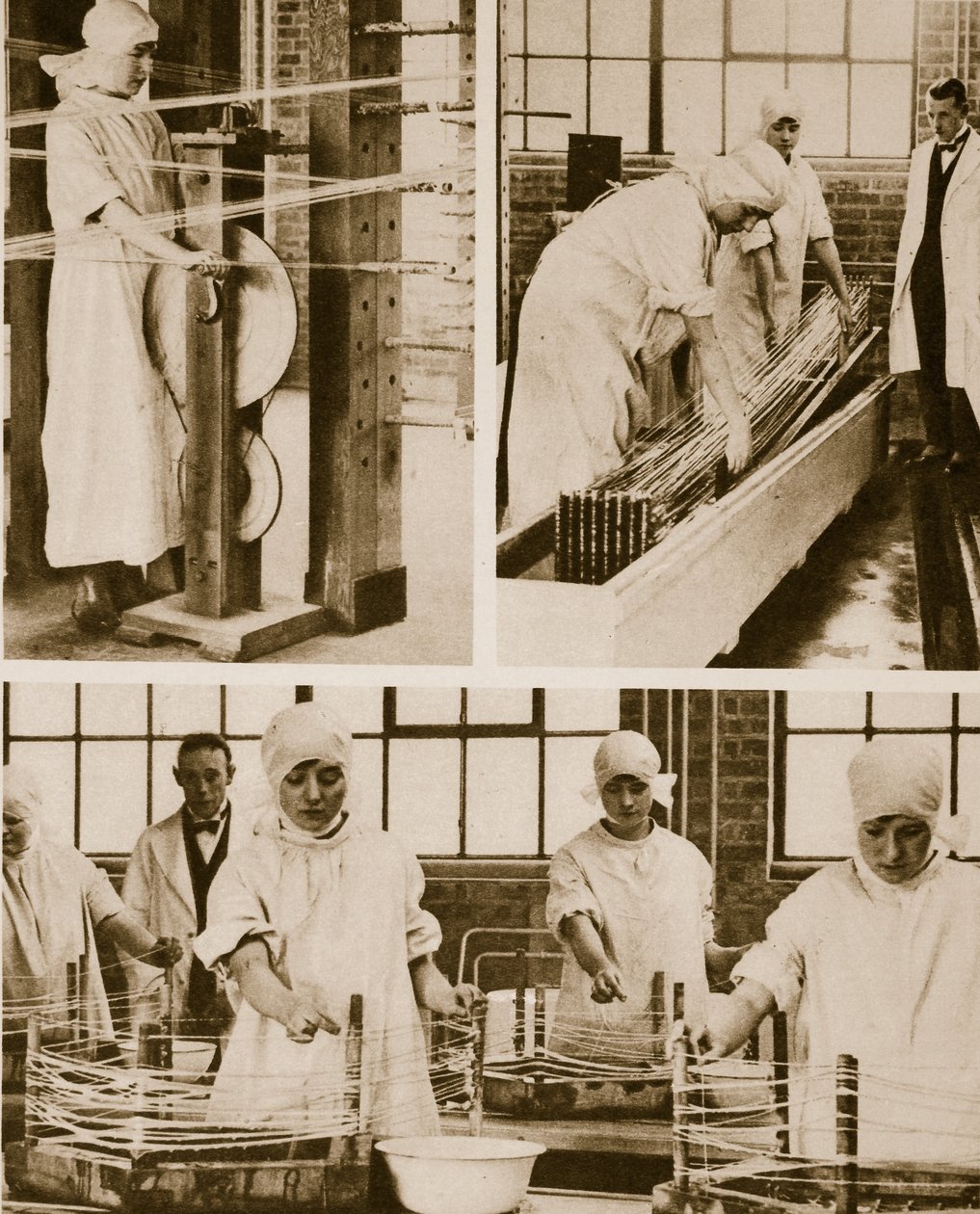 Preparing Cat-Gut at the London Hospitals own factory by English Photographer