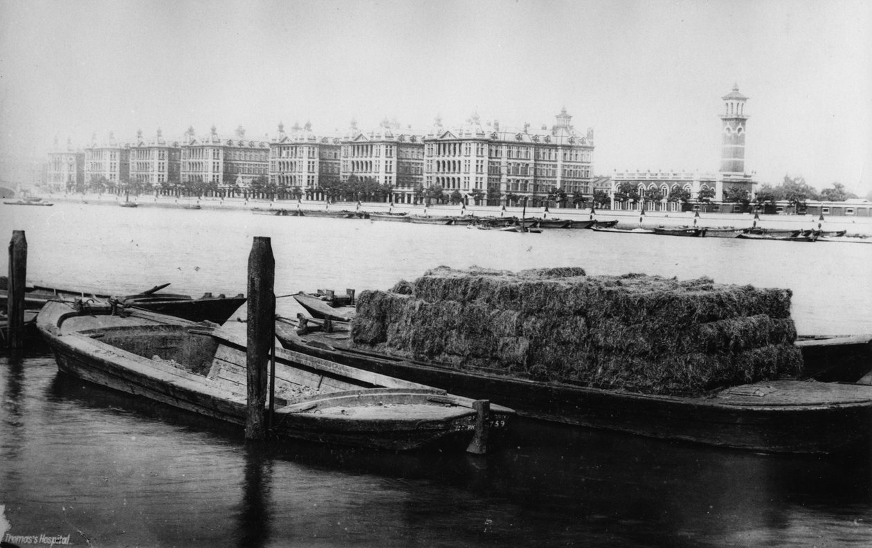 St Thomas Hospital, Albert Embankment by English Photographer