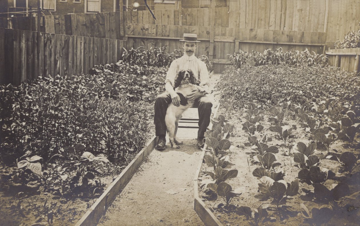 Vegetable Garden by English Photographer
