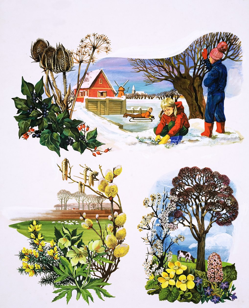 A Calendar of Plants, illustration from 