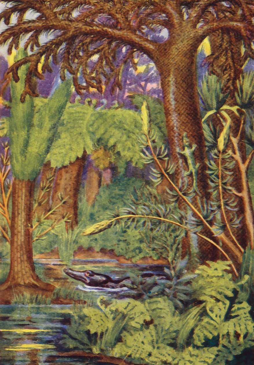 A Coal Forest by English School