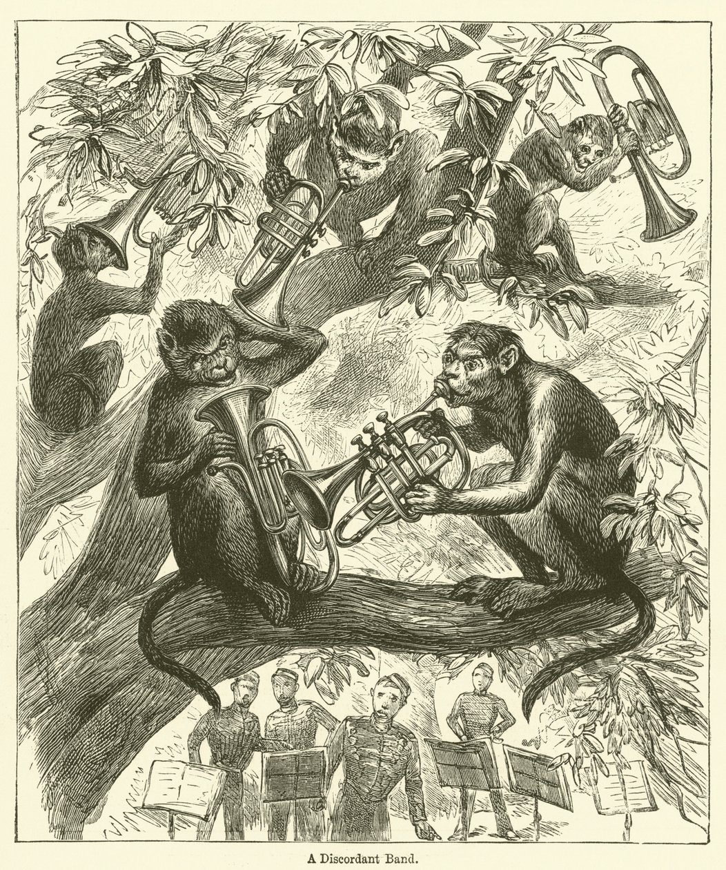 A Discordant Band by English School
