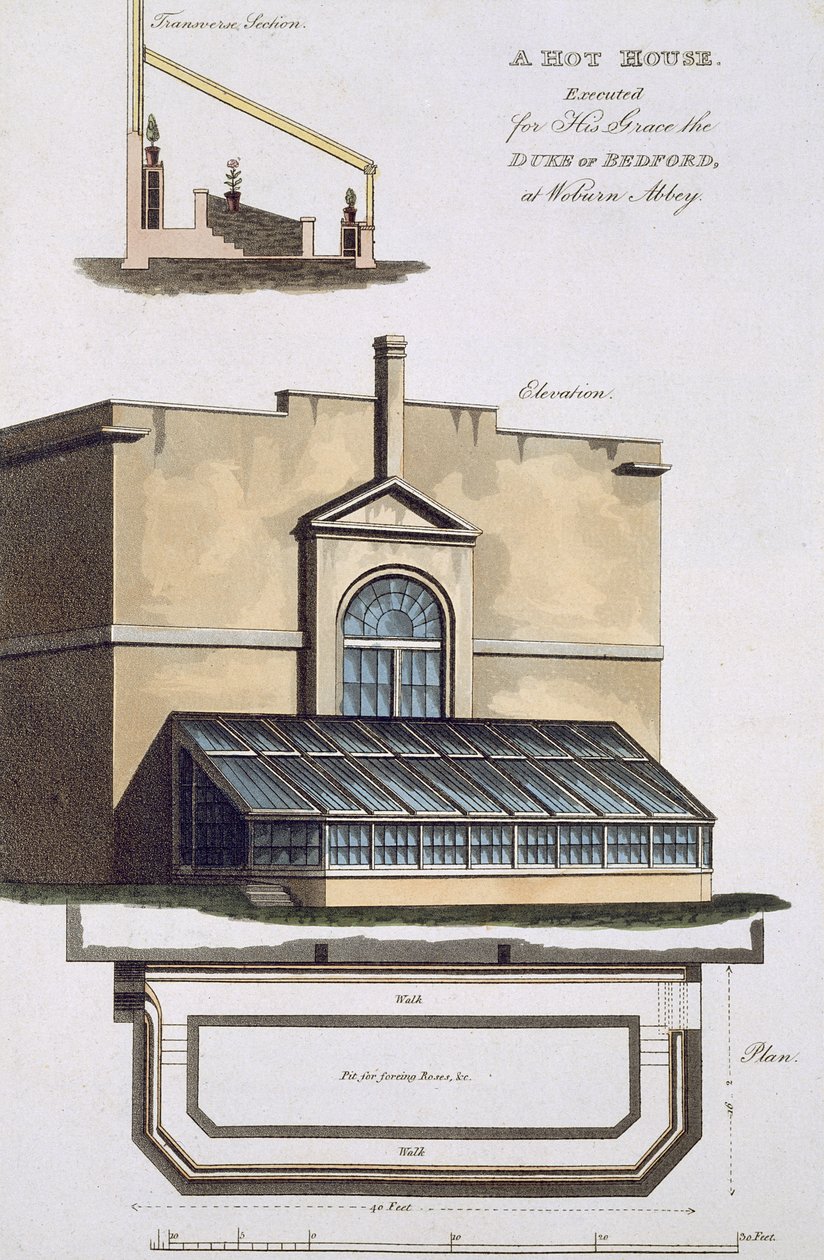 A Hot House for the Duke of Bedford at Woburn Abbey, 1806 by English School