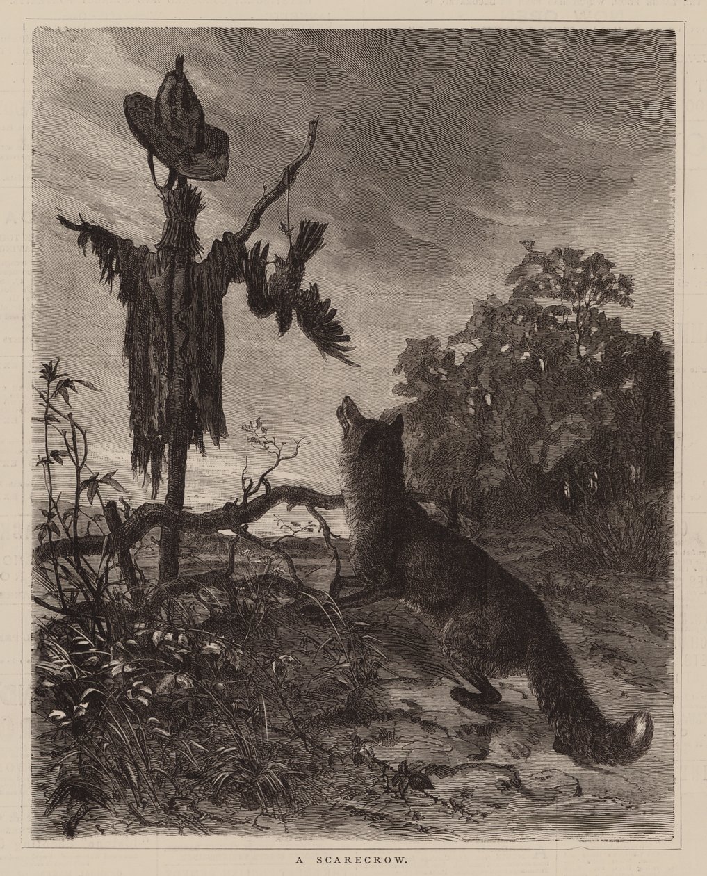 A Scarecrow by English School