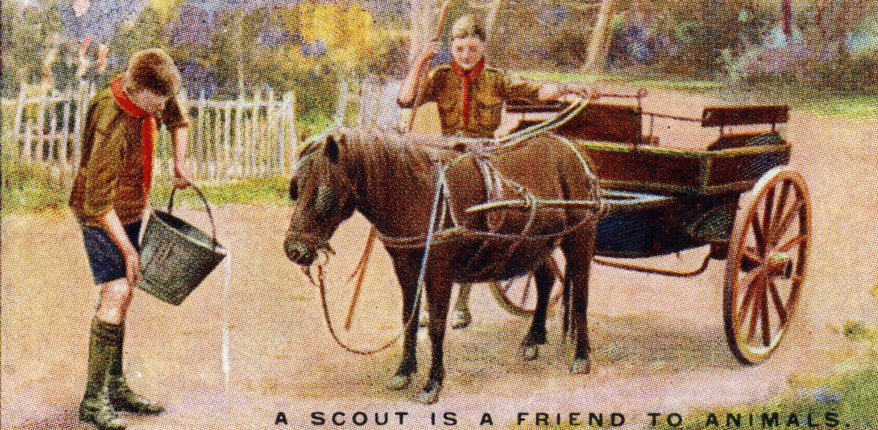 A Scout is a Friend to Animals, 1929 by English School
