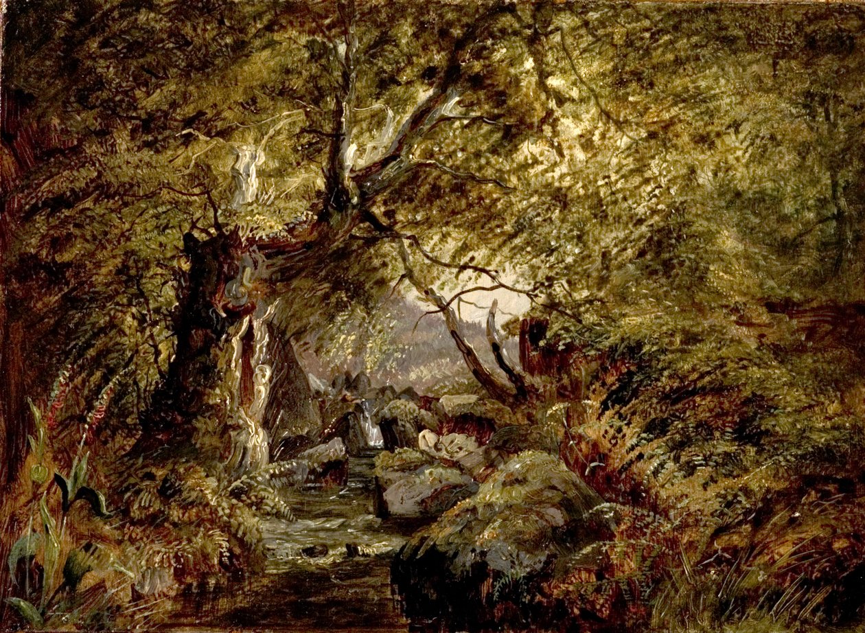A Woodland Stream by English School