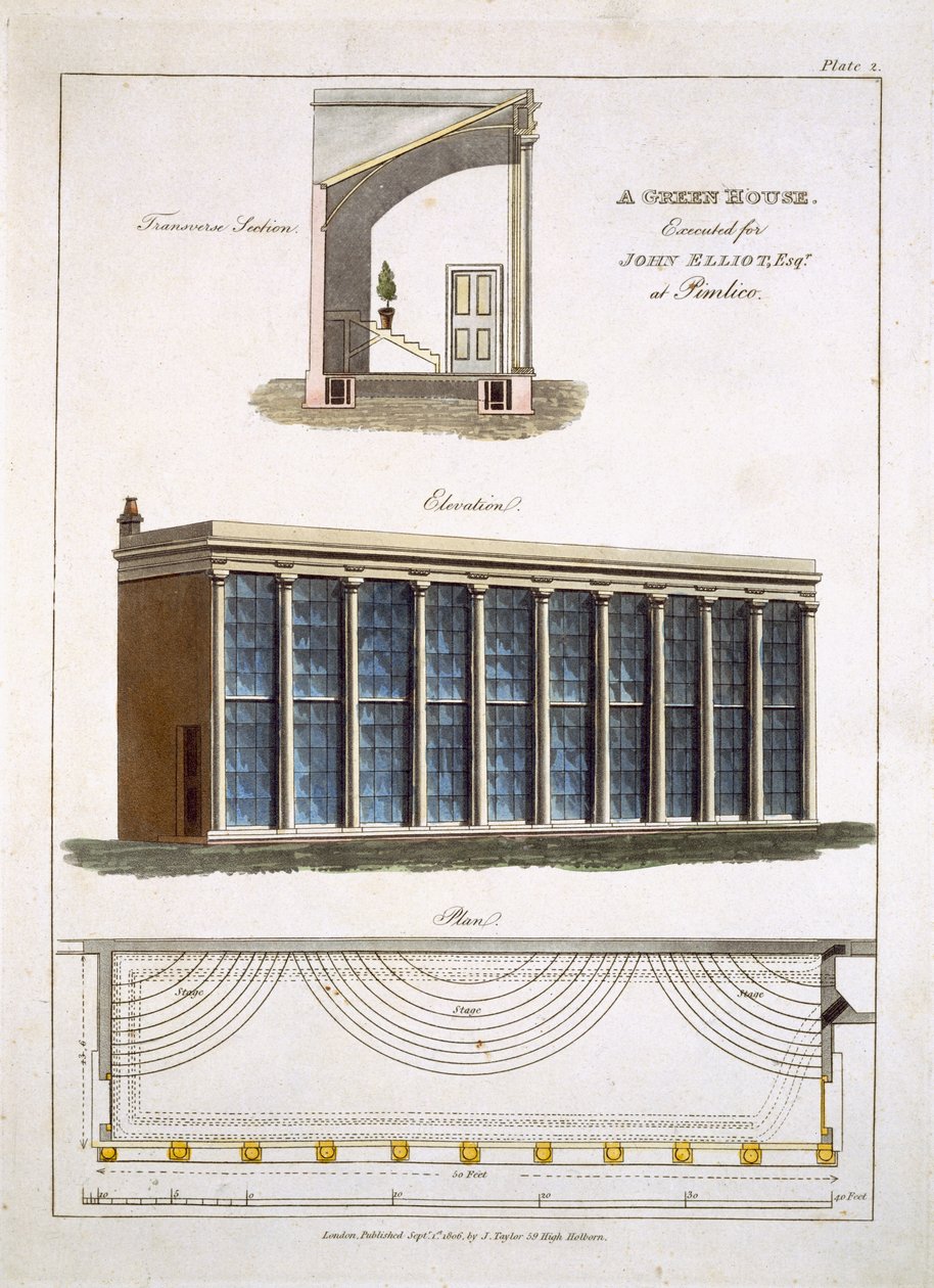 A Greenhouse for John Elliott at Pimlico, London, 1806 by English School