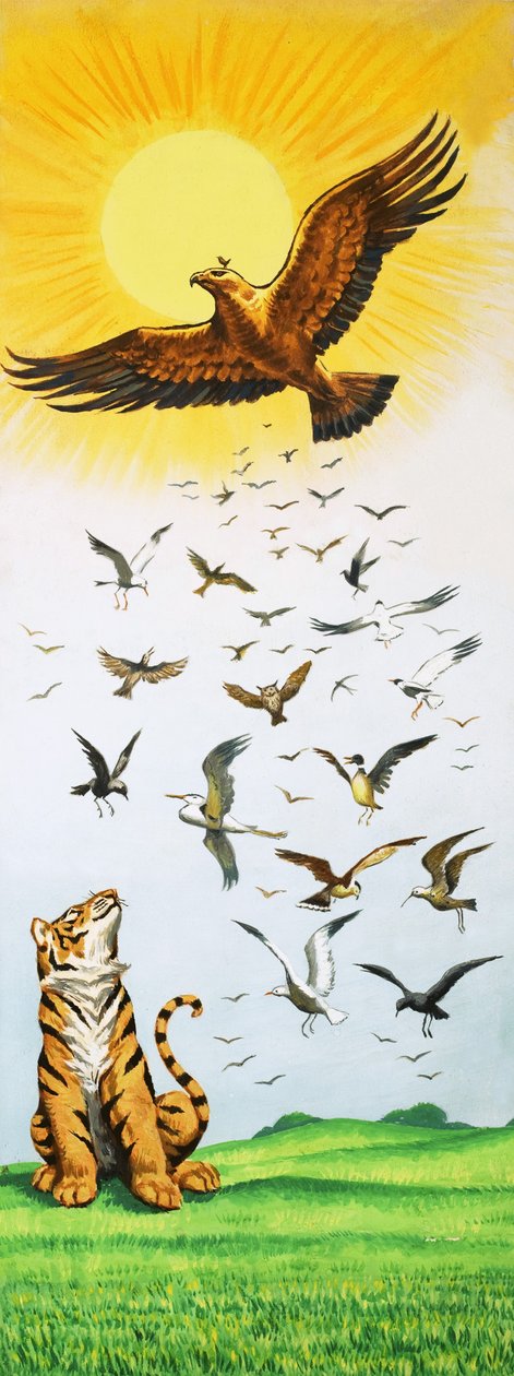 A Scene from the Folk-Tale King of the Birds by English School