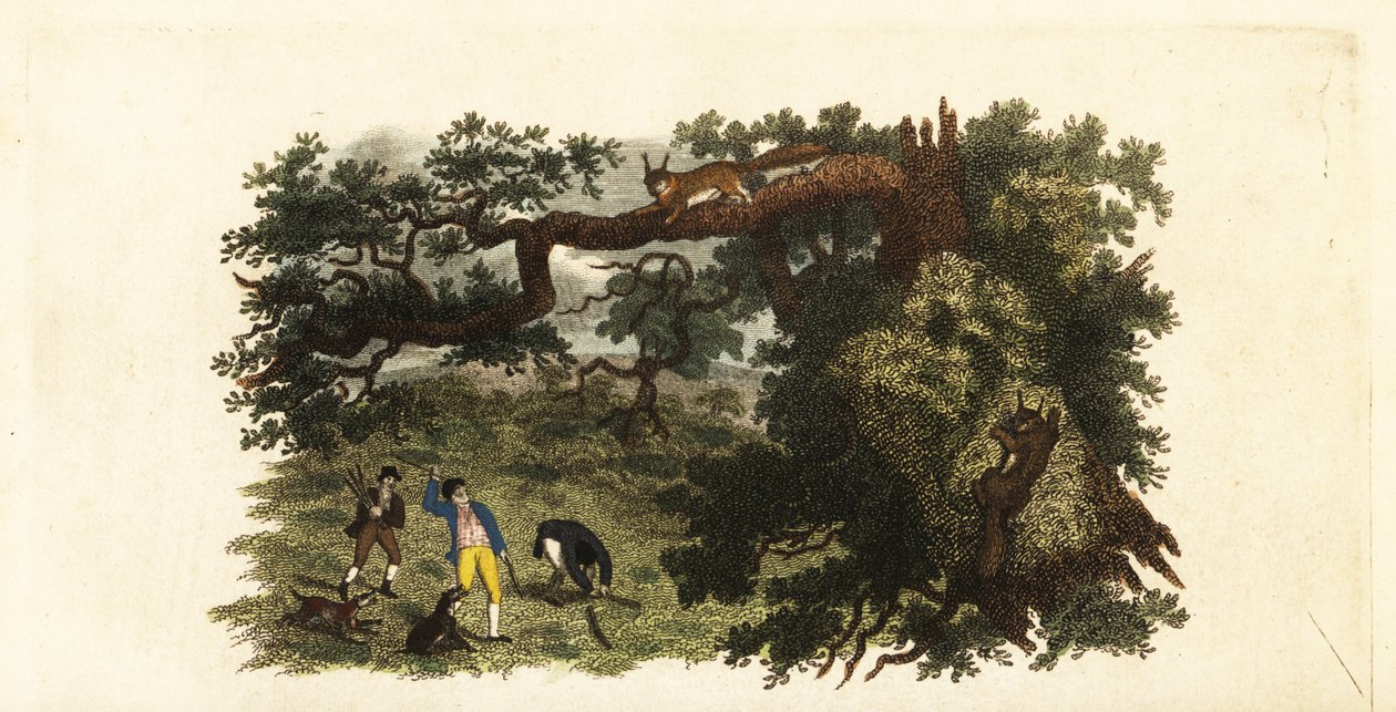 American settlers throwing sticks at grey squirrels in trees by English School