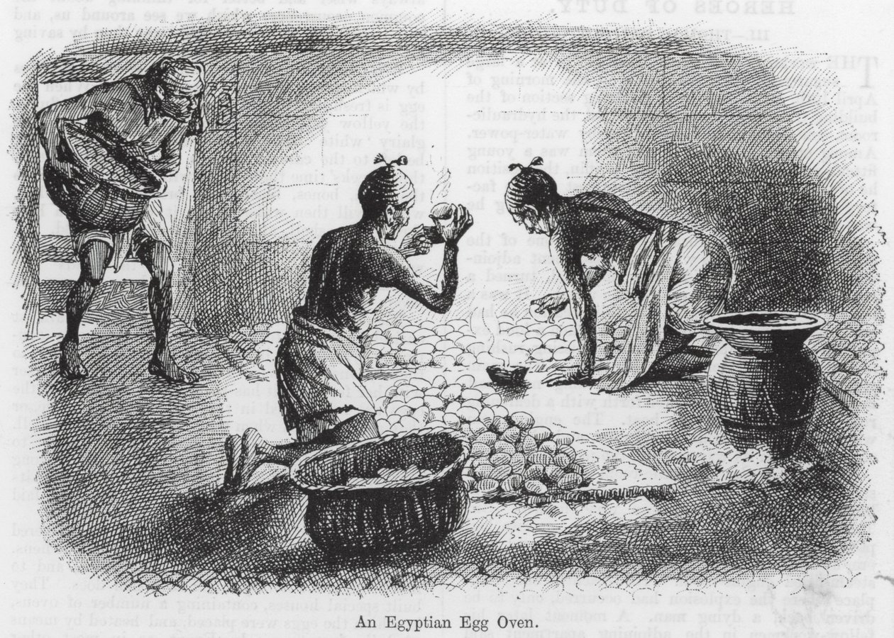 An Egyptian Egg Oven by English School