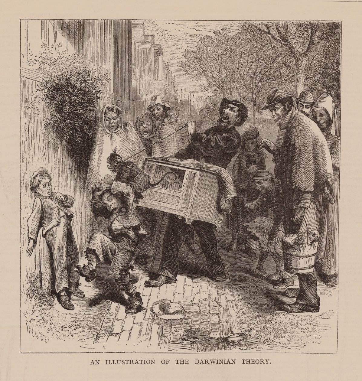 An Illustration of the Darwinian Theory by English School