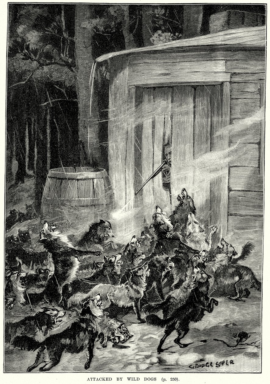 Attacked by Wild Dogs by English School