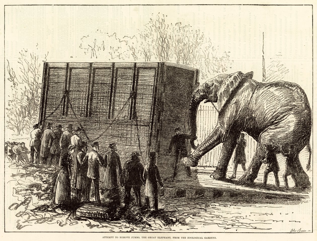 Attempt to Remove Jumbo, the Great Elephant, from the Zoological Gardens by English School