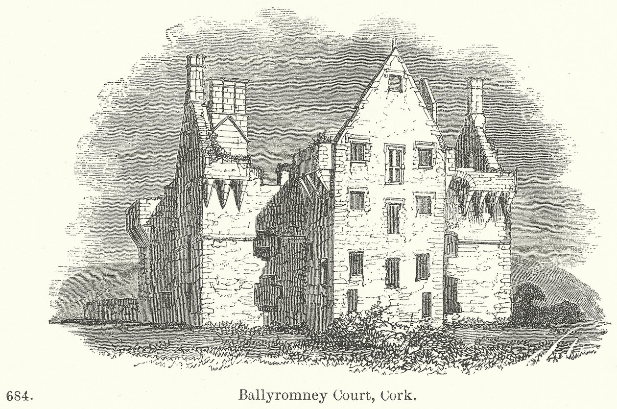 Ballyromney Court, Cork by English School