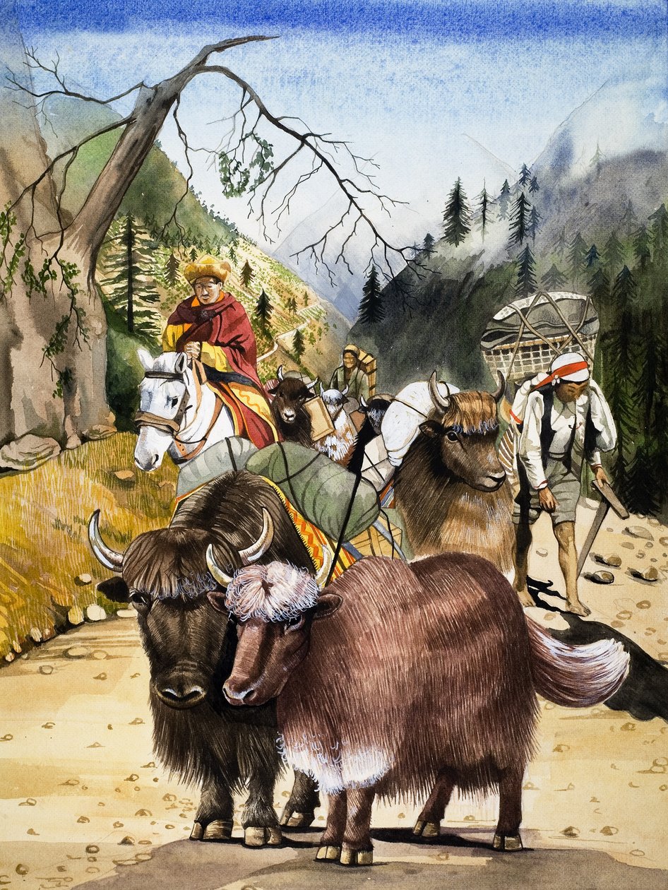 Beasts of Burden by English School