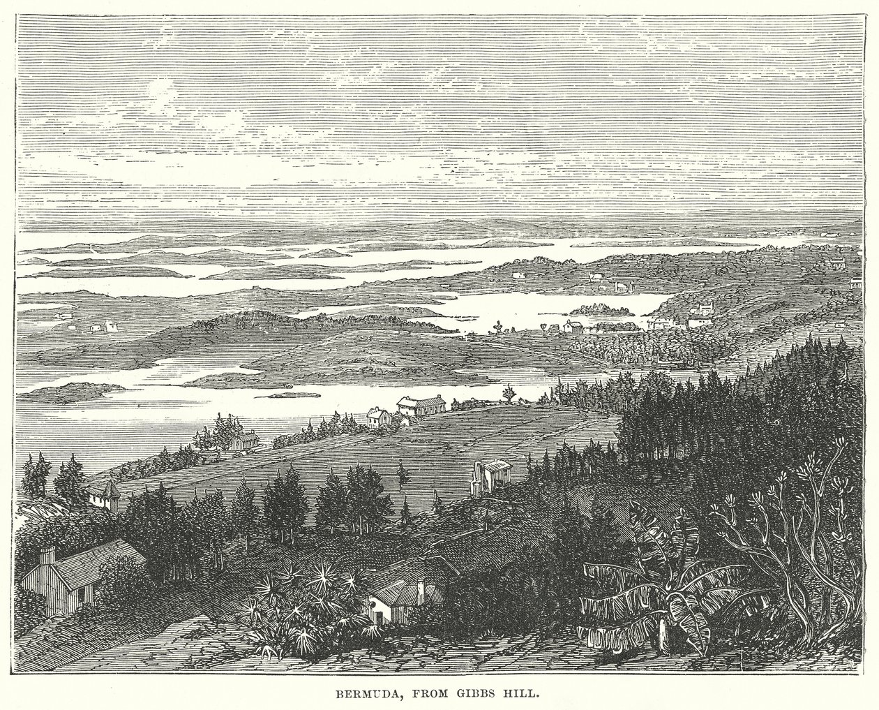Bermuda, from Gibbs Hill by English School