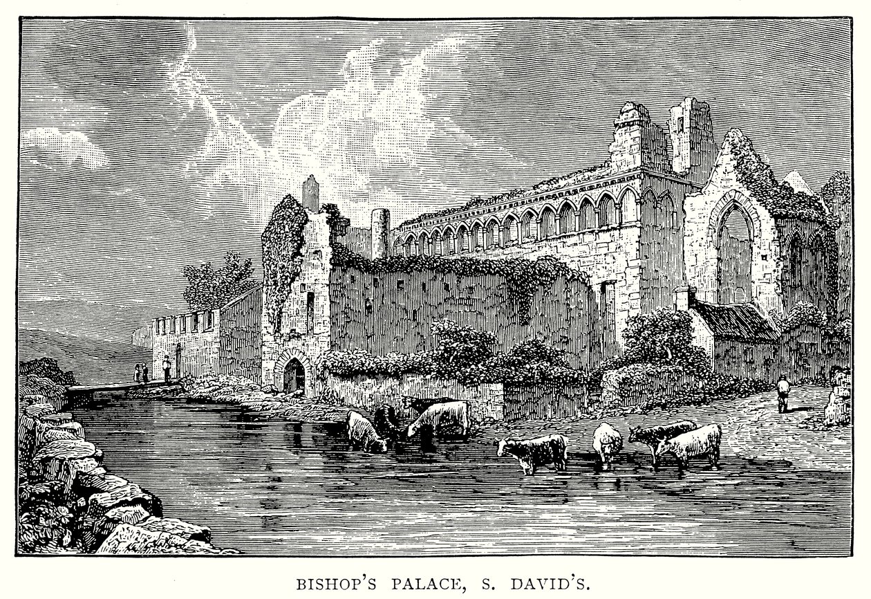 Bishop